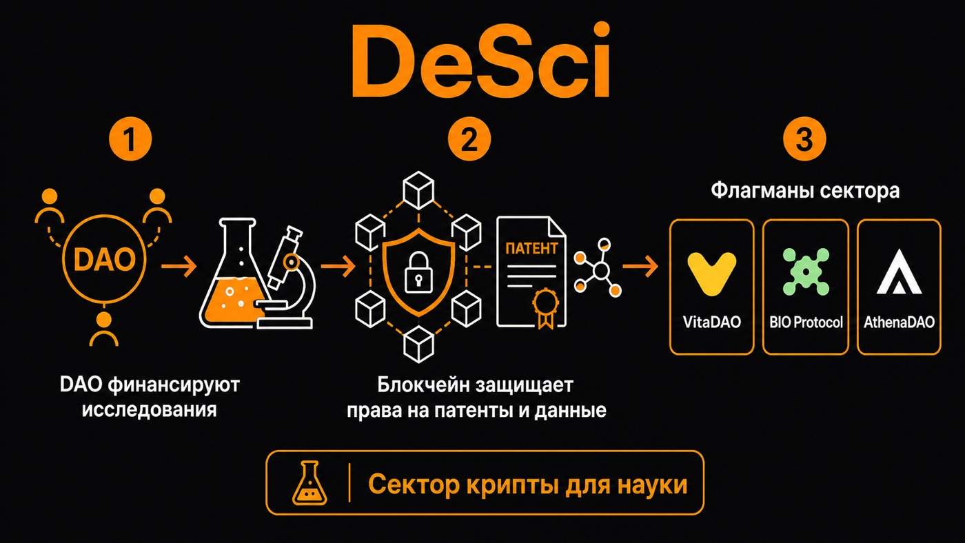 DeSci — что это простыми словами: инфографика