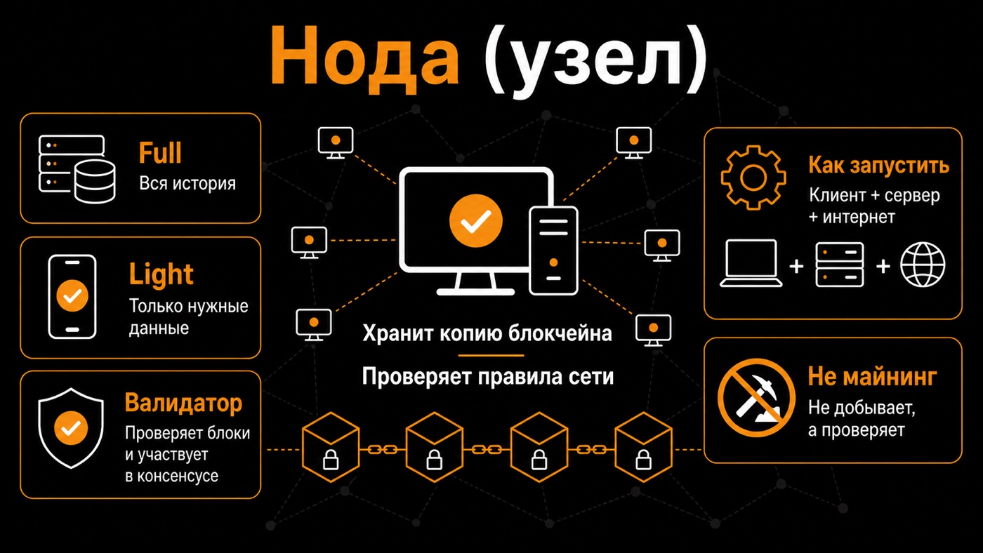Нода (узел) — что это простыми словами: инфографика